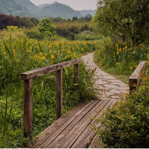 Eine Holzbrücke in den Bergen. Die Outdoor-Naturtherapie in der Praxis Christina Pielken München.