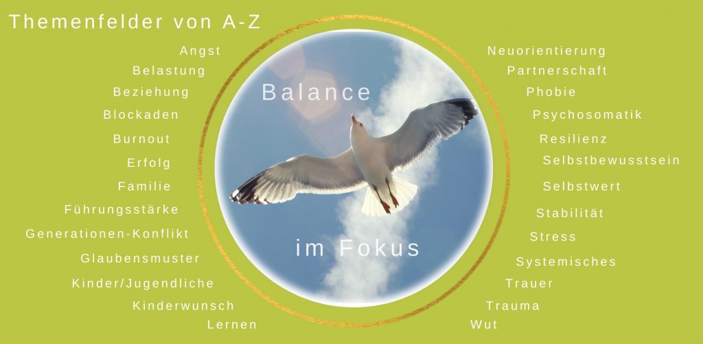 Möwe in Balance im Himmel und im Kreis außen angeordnet die Themen der Psychotherapie-Praxis Pielken München