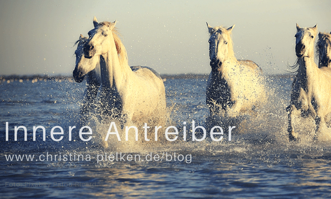 Pferde traben durch Meerwasser. Aufschrift: Innere Antreiber. Blog Beitrag von Therapeutin Pielken, Psychotherapie, Paartherapie