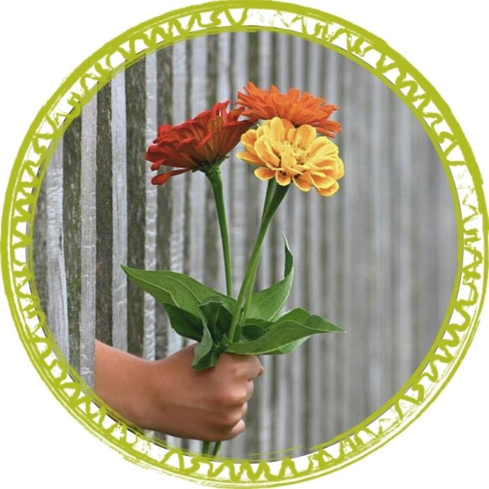 Blumen durch einen Zaun reichen als Symbol für bürgerschaftlichen Engagement im Ehrenamt der Psychotherapeutin