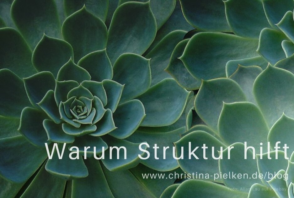 succulenten-blatt-struktur-hilft